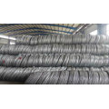 Hot DIP Galvanized Steel Spring Wire